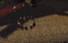 retour2.jpg